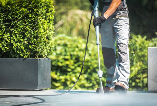 Best Animal Enclosure Cleaning  in Wardsville, MO